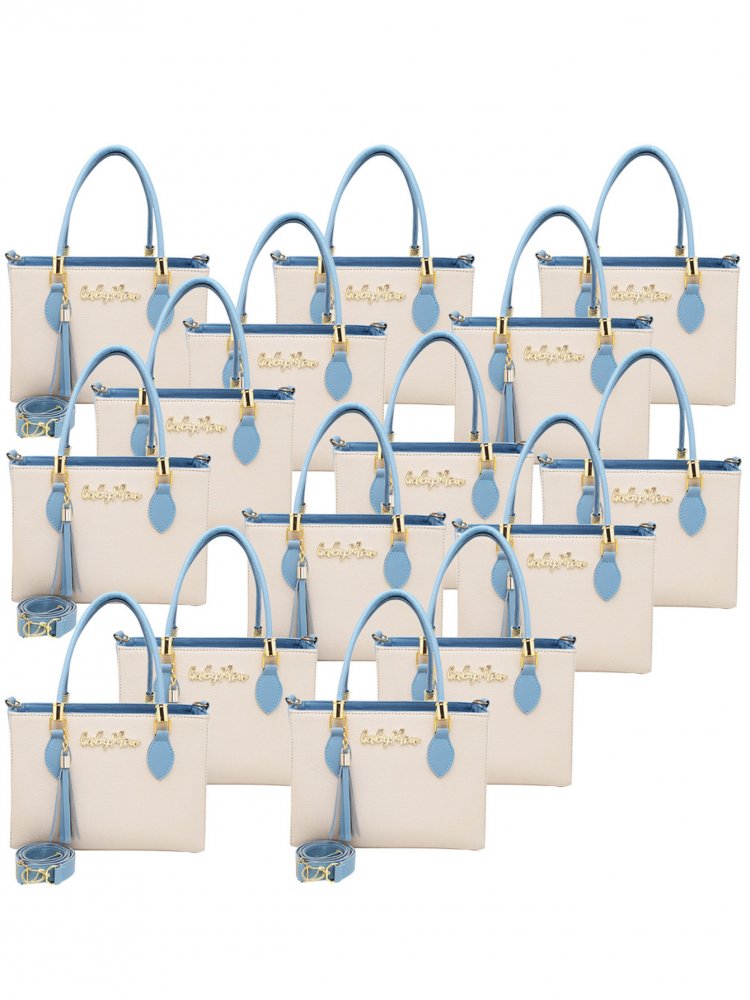 KIT 15 BOLSASFEMINIA TRANSVERSAL LUXO